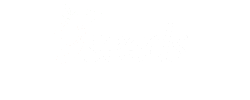 9seeds Logo